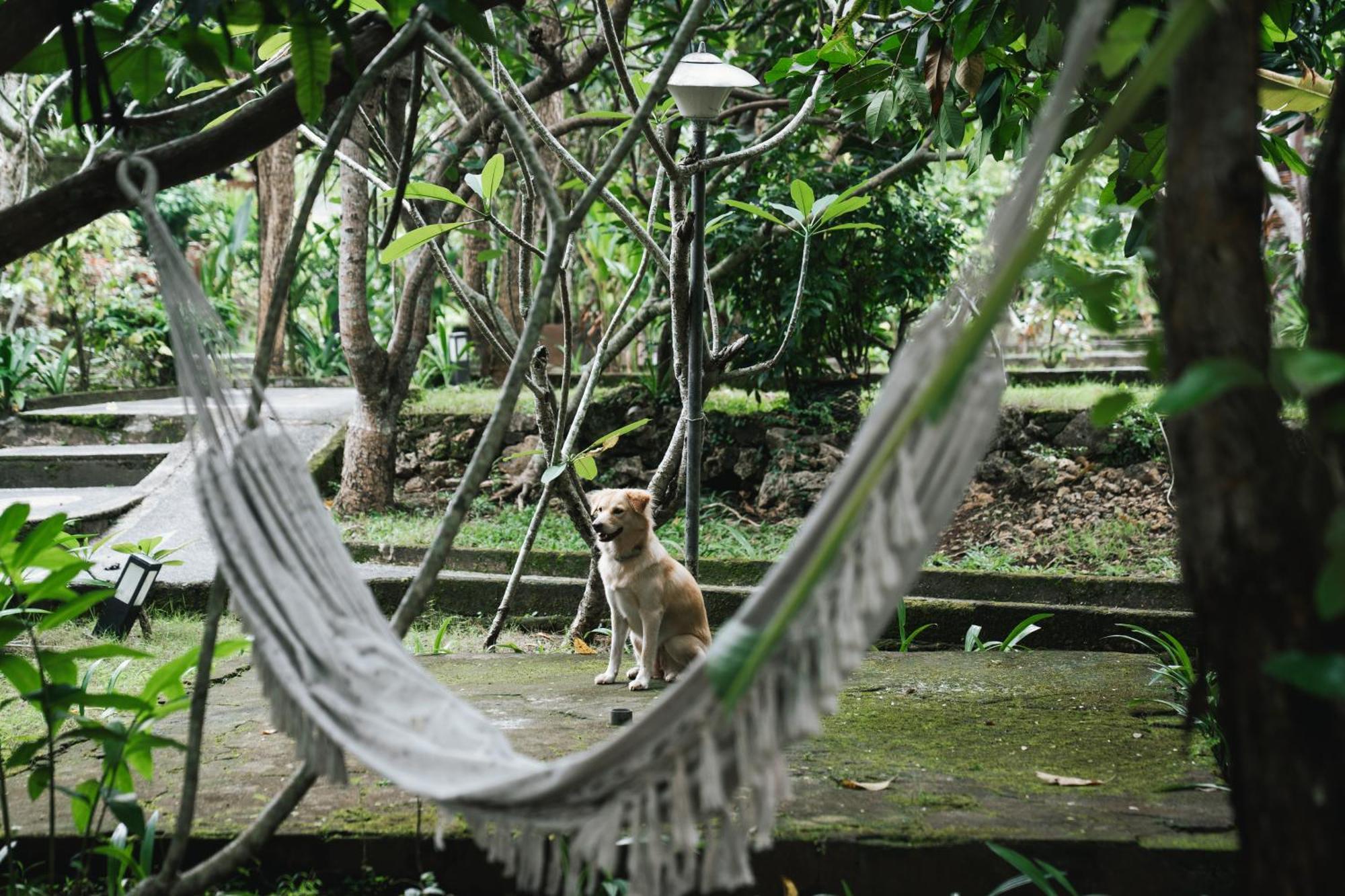 Olo Surf Nature Uluwatu Exterior foto
